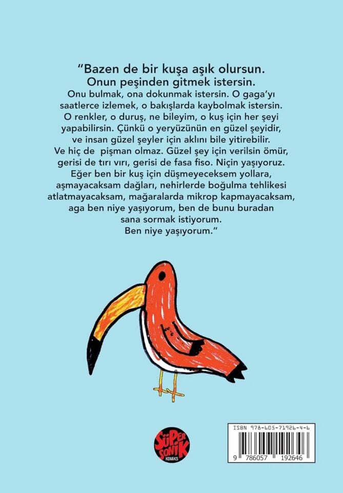 Komik Kuşlar Alpay Erdem