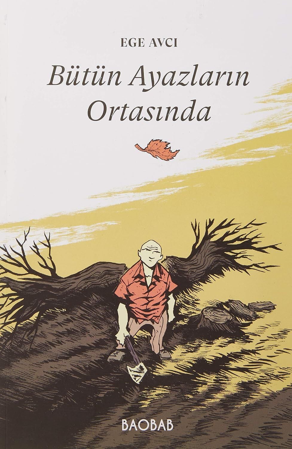 Bütün Ayazların Ortasında